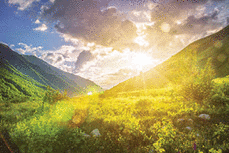Sunny landscape in the mountains