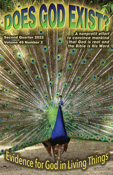 The cover of our 2nd quarter 2022 journal shows a peacock (male).