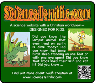 Science Terrific